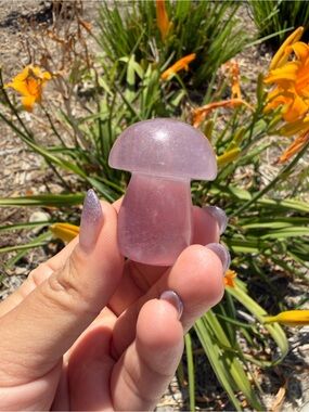 Small Natural Fluorite Mushroom Carving,Hand Carved Crystal Mushroom,A554